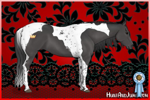Horse Color:Black Tobiano 