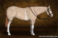 Horse Color:White Spotted Red Dun Roan 