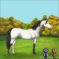 Horse Color:Buckskin Chinchilla