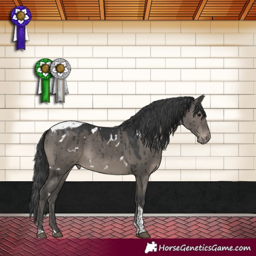 Horse Color:White Spotted Grullo Mushroom Tobiano Varnish Brindle