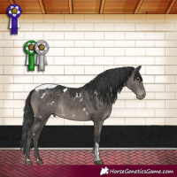 Horse Color:White Spotted Grullo Mushroom Tobiano Varnish Brindle