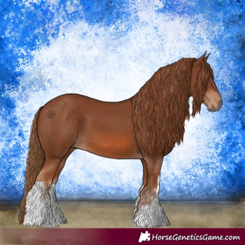 Horse Color:White Spotted Chestnut 
