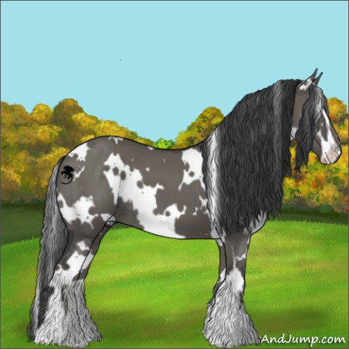 Horse Color:White Spotted Grullo Sabino 