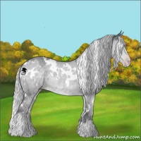Horse Color:White Spotted Silver Classic Champagne Chinchilla Dun Brindle 