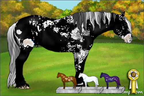 Horse Color:ERROR: UNKNOWN ANOMALY