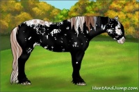 Horse Color:Chestnut Ice Sabino 