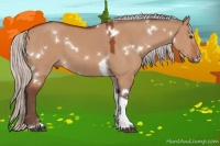 Horse Color:White Spotted Silver Brown Dun Tobiano