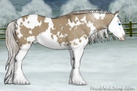 Horse Color:White Spotted Silver Smoky Grullo Splash Brindle 