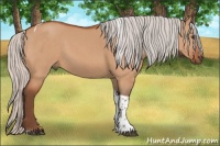 Horse Color:Silver Brown Dun Sabino Tobiano