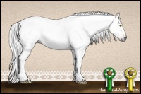 Horse Color:Gray White Spotted Silver Buckskin Dun 