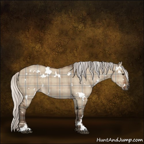 Horse Color:Plaid  White Spotted Silver Brown Dun Sabino 