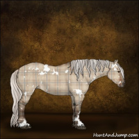 Horse Color:Plaid  White Spotted Silver Brown Dun Sabino 