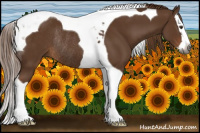 Horse Color:Gray Chestnut Splash Tobiano Rabicano