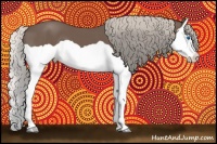 Horse Color:Silver Black Splash 