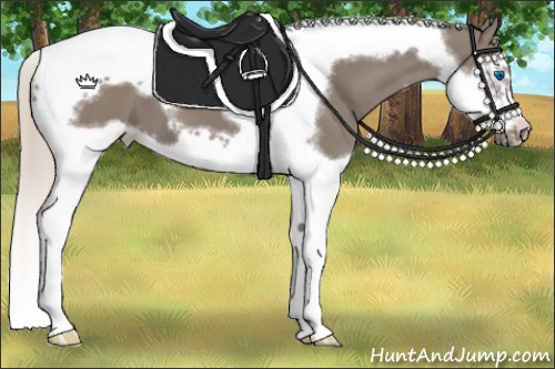 Horse Color:Silver Grullo Splash Tobiano Frame 