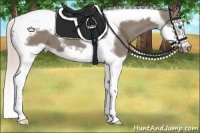 Horse Color:Silver Grullo Splash Tobiano Frame