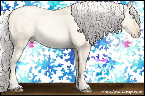 Horse Color:Silver Amber Cream Champagne Pearl Dun 