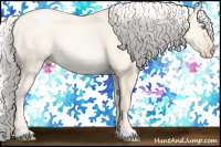 Horse Color:Silver Amber Cream Champagne Pearl Dun 