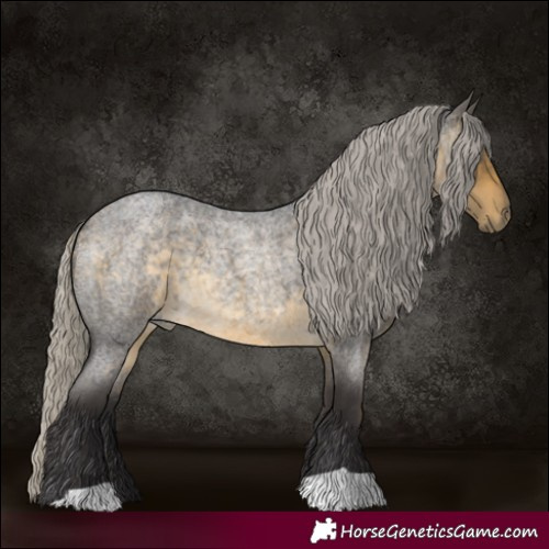 Horse Color:Silver Buckskin Roan 