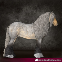 Horse Color:Silver Buckskin Roan 