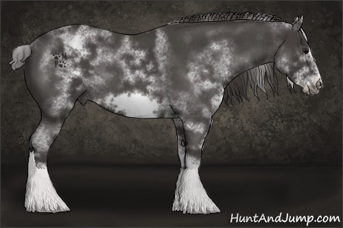 Horse Color:White Spotted Smoky Blue Roan Frame 
