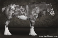 Horse Color:White Spotted Smoky Blue Roan Frame 