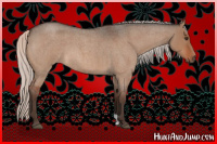 Horse Color:Silver Brown Roan Dun 