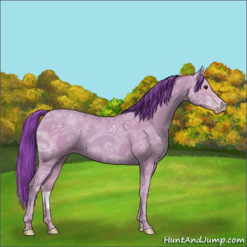 Horse Color:Watercolor Classic Champagne Ice 