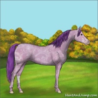 Horse Color:Watercolor Classic Champagne Ice 