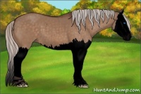 Horse Color:Void Silver Brown Dun Splash 