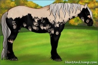 Horse Color:Void Silver Bay Roan Dun Splash 