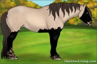 Horse Color:Void Sable Champagne Dun Splash 