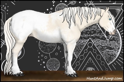 Horse Color:Cremello Sabino Appaloosa