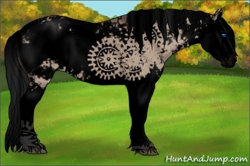 Horse Color:Void Brown Dun Sabino Splash 