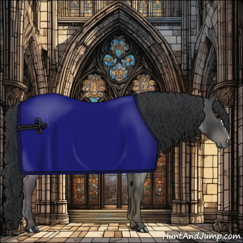 Horse Color:Blue Roan 