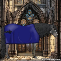 Horse Color:Blue Roan 