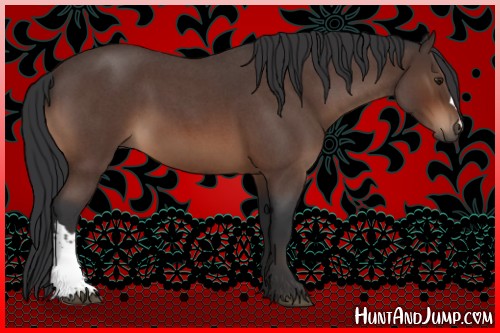 Horse Color:Brown Roan 
