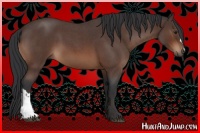 Horse Color:Brown Roan 