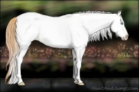 Horse Color:White Spotted Buckskin Pearl 