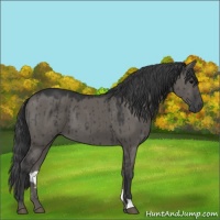 Horse Color:Grullo Brindle 