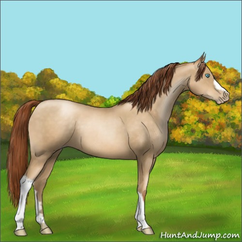 Horse Color:Gray Classic Cream Champagne Pearl Mushroom 