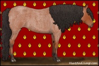 Horse Color:Bay Roan 