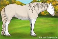 Horse Color:Smoky Creme Splash 