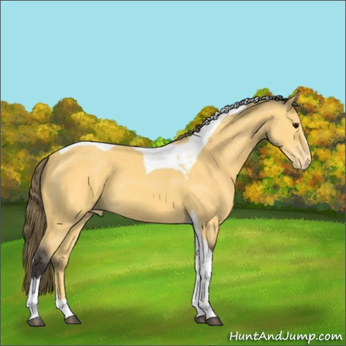Horse Color:Buckskin Tobiano Varnish