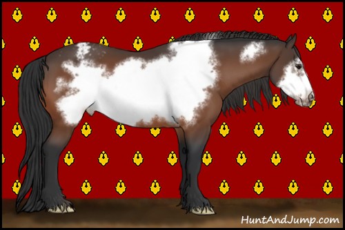 Horse Color:Bay Frame Appaloosa 