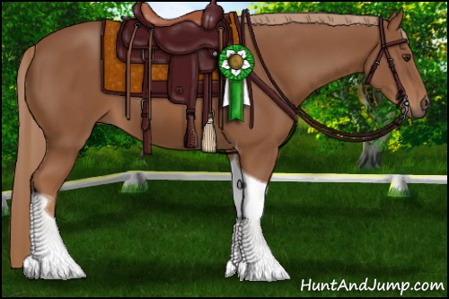 Horse Color:Chestnut Tobiano