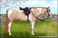 Horse Color:Buckskin Pearl Tobiano