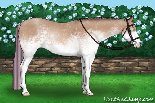 Horse Color:Painted White Spotted Sable Champagne 