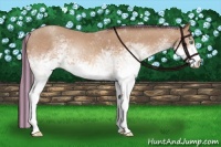 Horse Color:Painted White Spotted Sable Champagne 