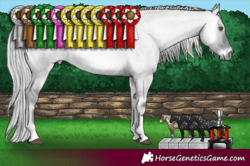 Horse Color:Silver Smoky Grullo Chinchilla Roan Onyx Tobiano 